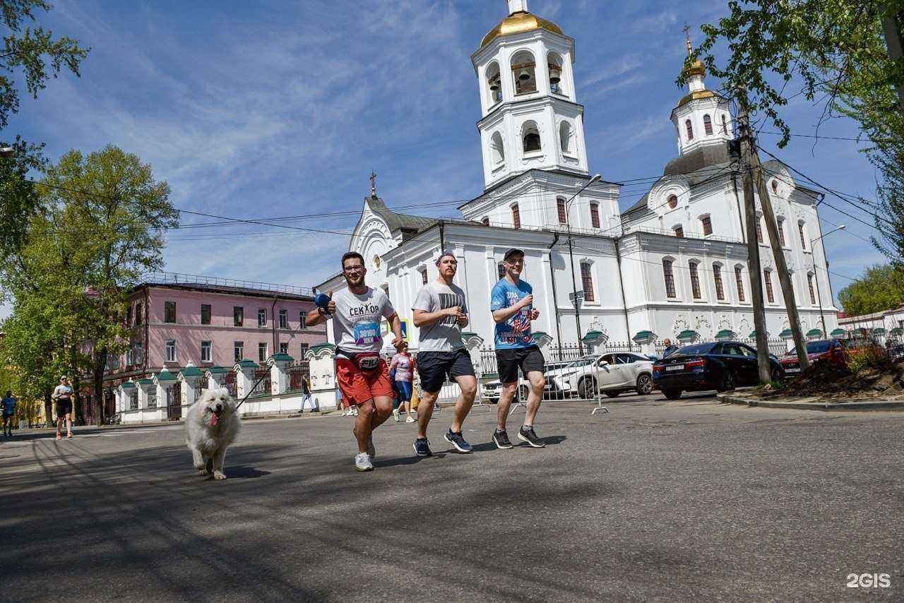 Отзывы на компанию Дружок в г. Иркутск c фото