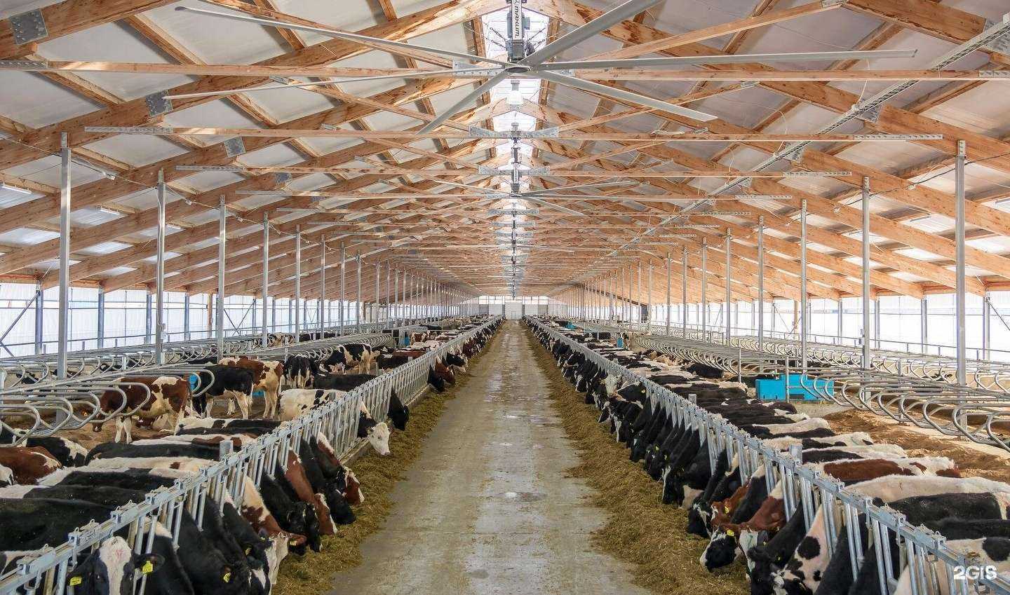 Отзывы на компанию МонолитПром в г. Долгопрудный c фото