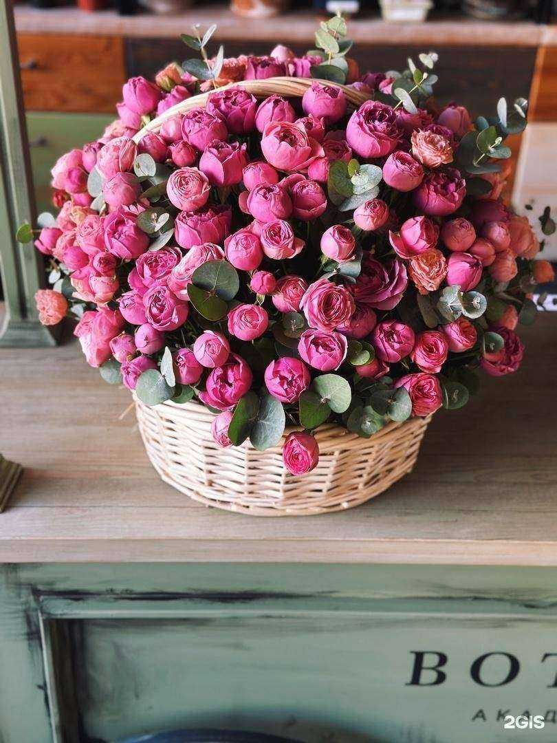 Отзывы на компанию Botanika в г. Красноярск c фото