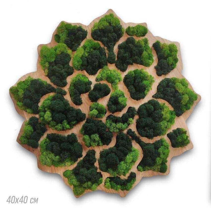 Отзывы на компанию Магазин цветов в г. Реутов c фото