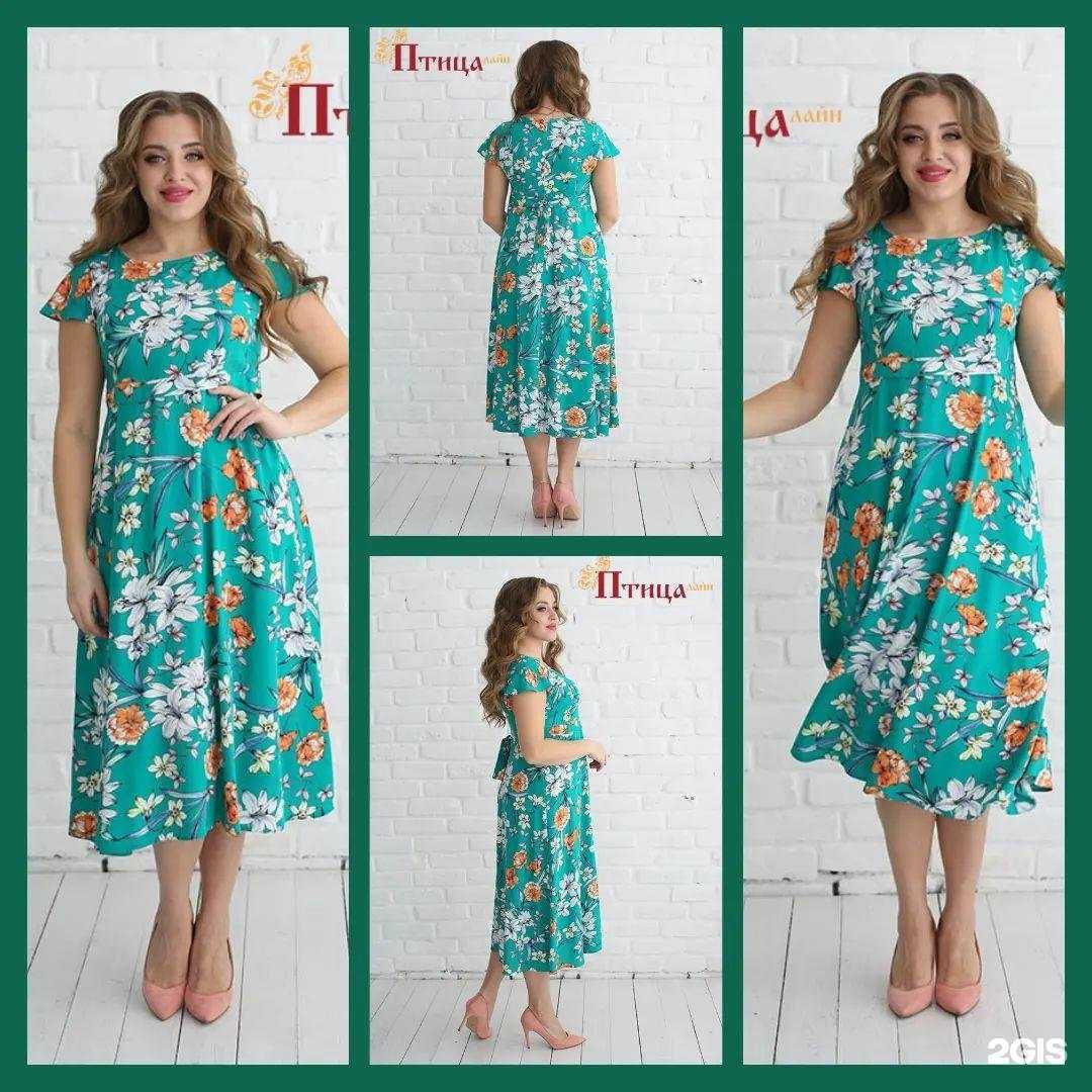 Отзывы на компанию ПтицаЛайн в г. Тольятти c фото