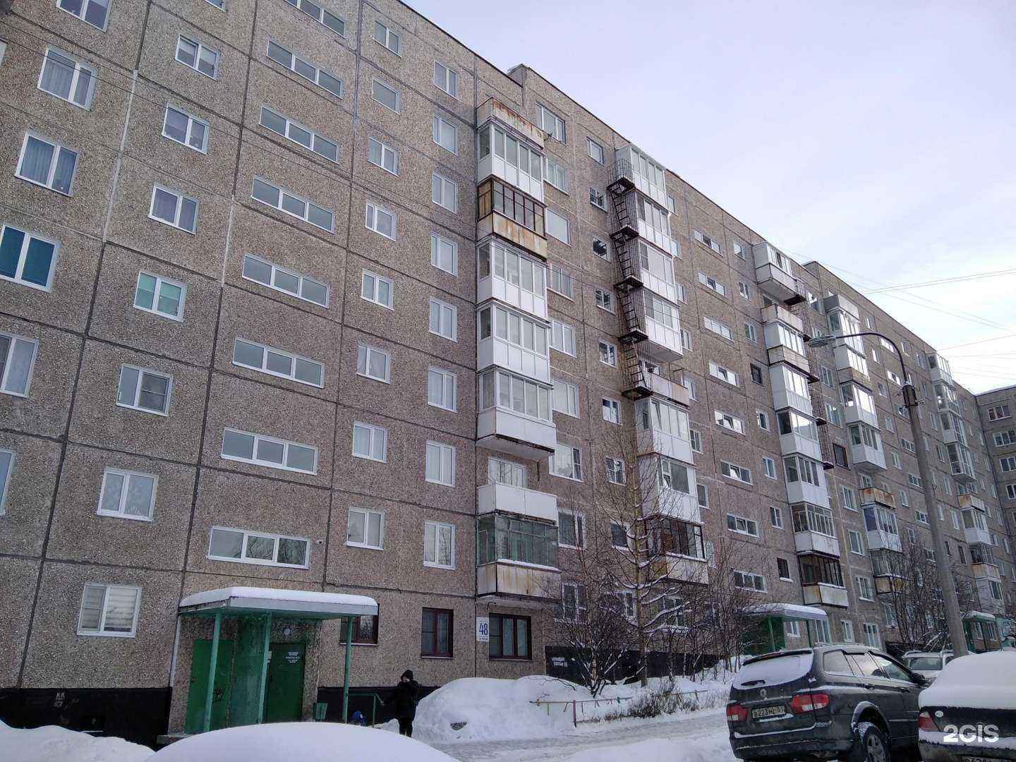 Отзывы на компанию ​Кабинет стрижки домашних животных в Мурманске c фото - фотография 2 из 2