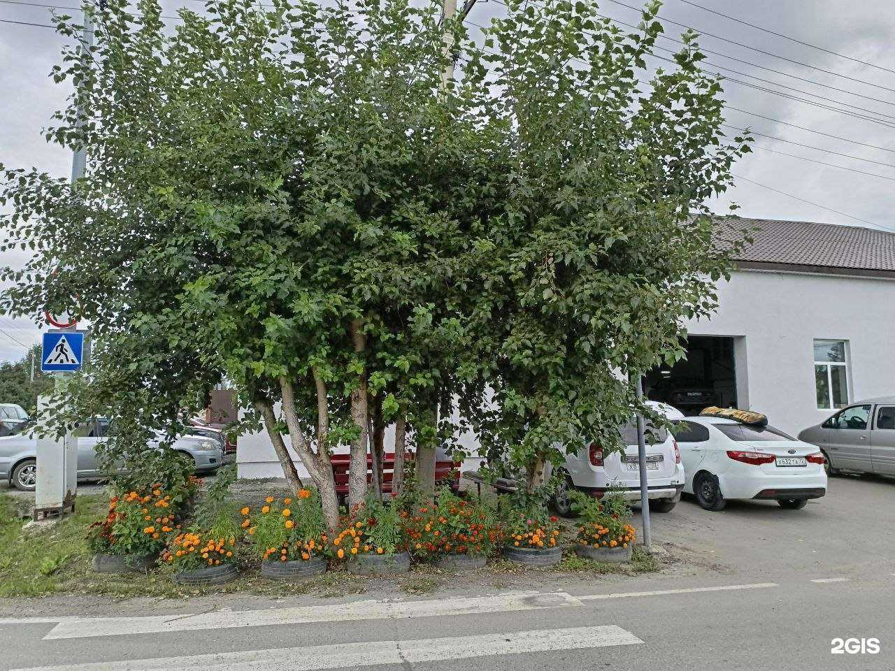 Отзывы на компанию Gal72 в Тюмени c фото