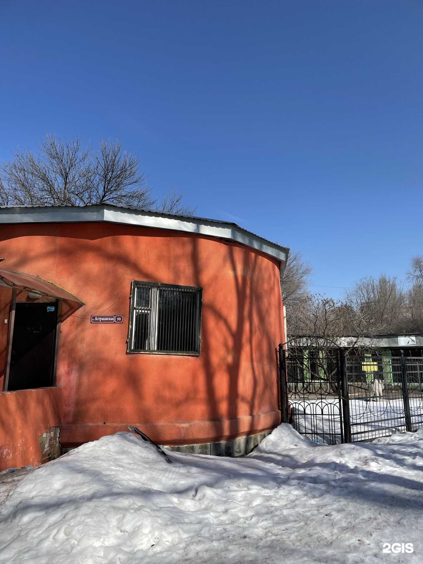 Отзывы на компанию Первая ветеринарная клиника в г. Саратов c фото