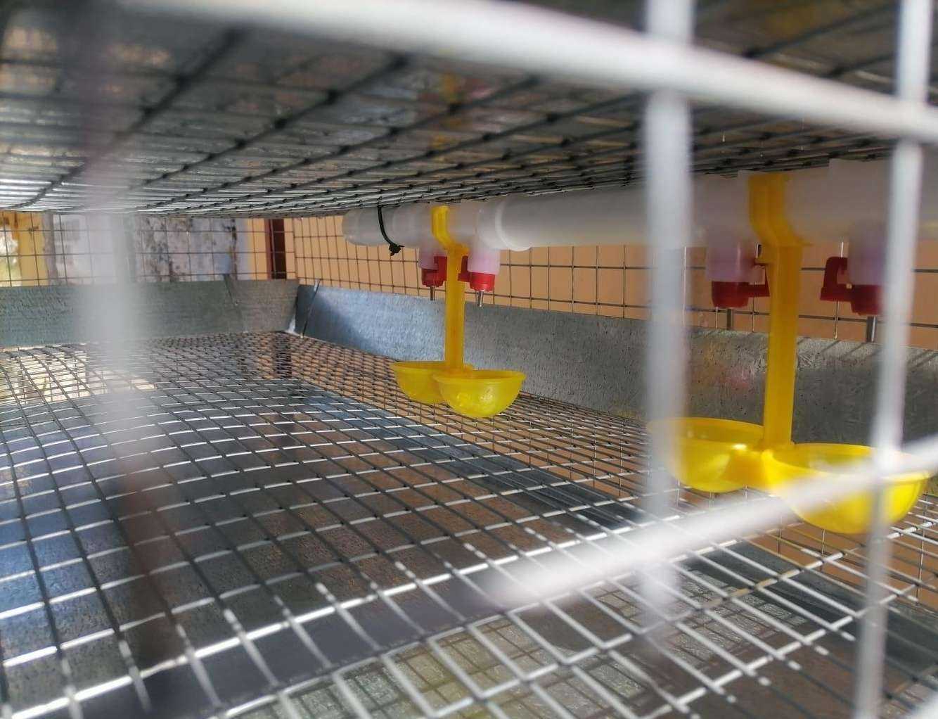 Отзывы на компанию Птичий двор в Владимире c фото