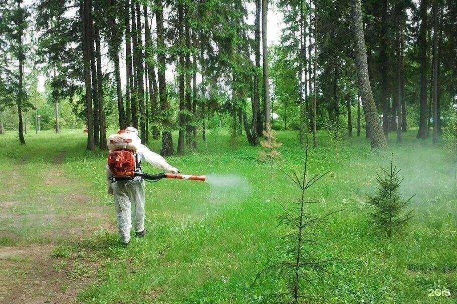 Отзывы на компанию СЭС Чистый город в Саранске c фото