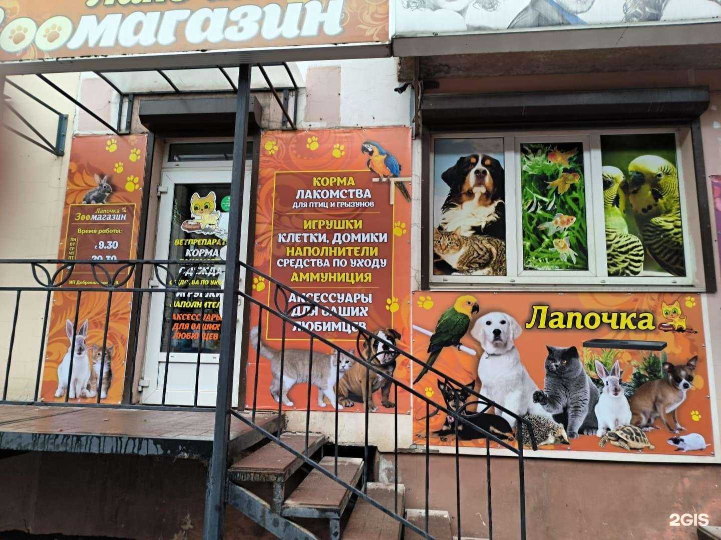 Отзывы на компанию Лапочка в г. Смоленск c фото