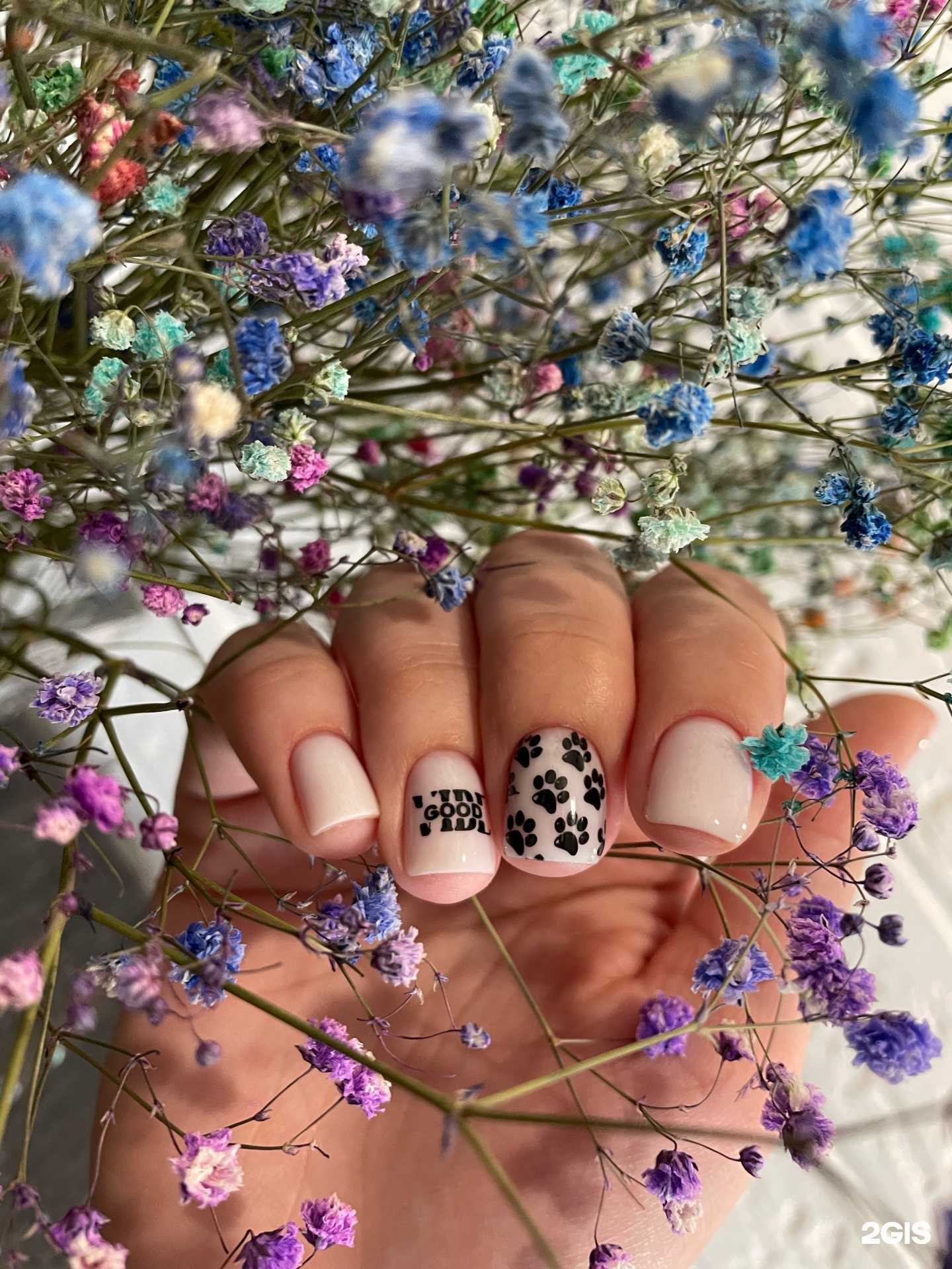 Отзывы на компанию Ova nail studio в г. Красноярск c фото