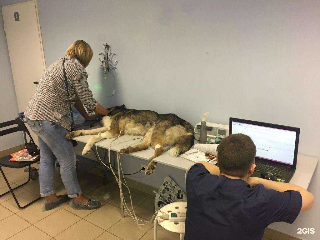 Отзывы на компанию Габика в Жуковском c фото