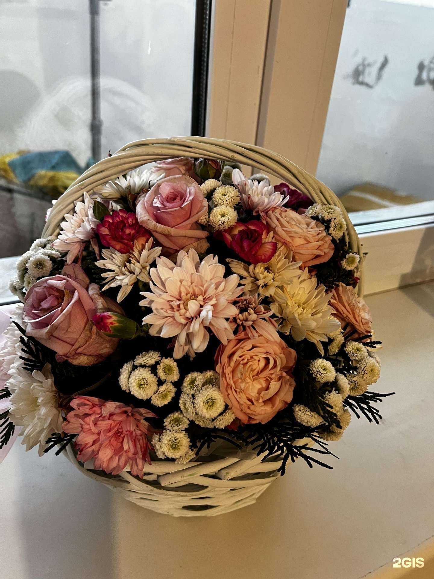 Отзывы на компанию Сады Евы в Перми c фото