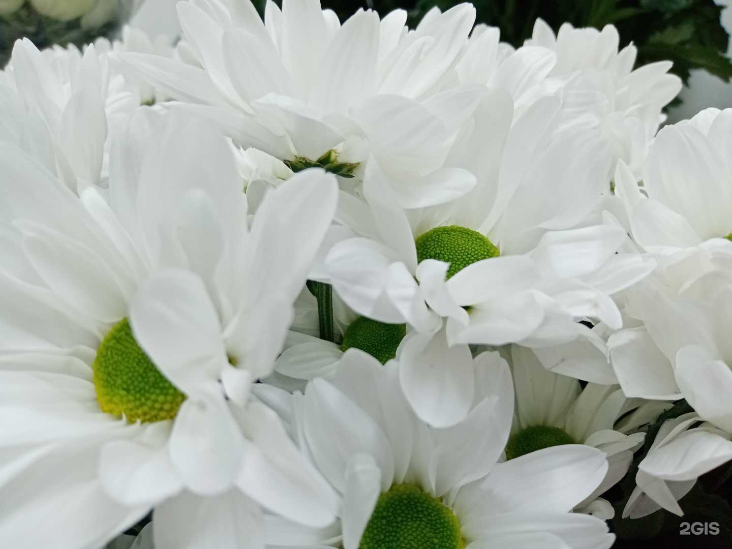 Отзывы на компанию Нарин в Челябинске c фото