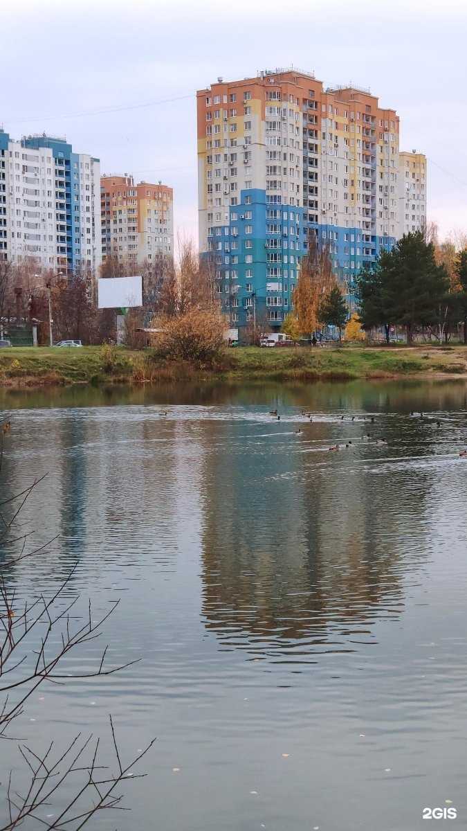 Отзывы на компанию Ультрамед в Нижнем Новгороде c фото - фотография 2 из 2