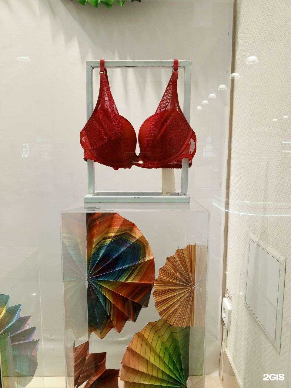 Отзывы на компанию MilaVitsa в Краснодаре c фото