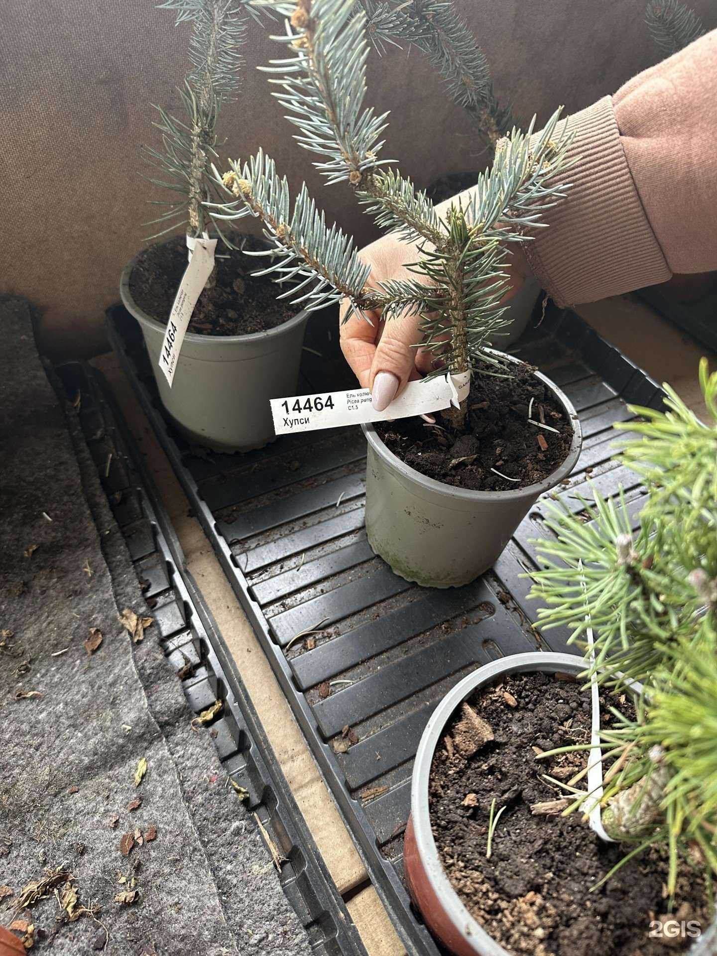 Отзывы на компанию Дачное счастье в Хабаровске c фото