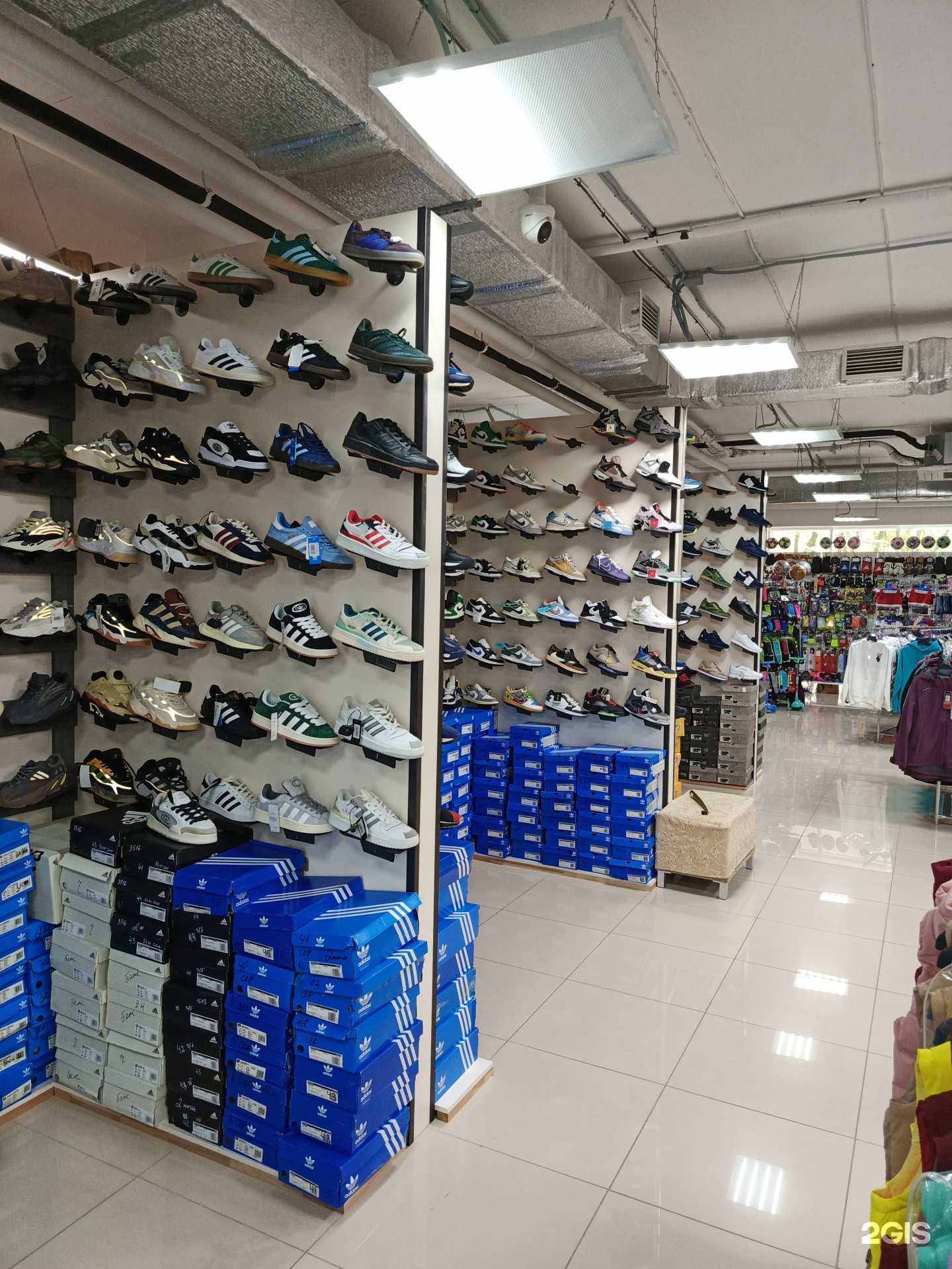 Отзывы на компанию Физрук в Владивостоке c фото