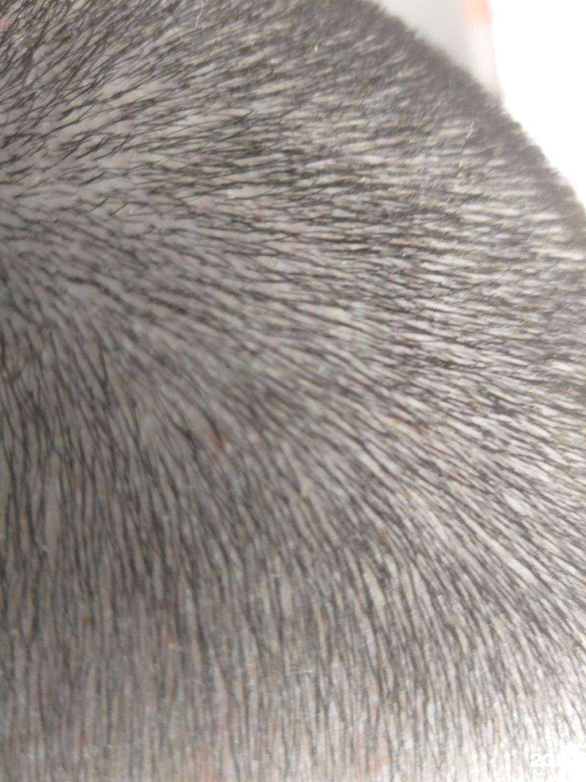 Отзывы на компанию Шоколад в г. Пермь c фото