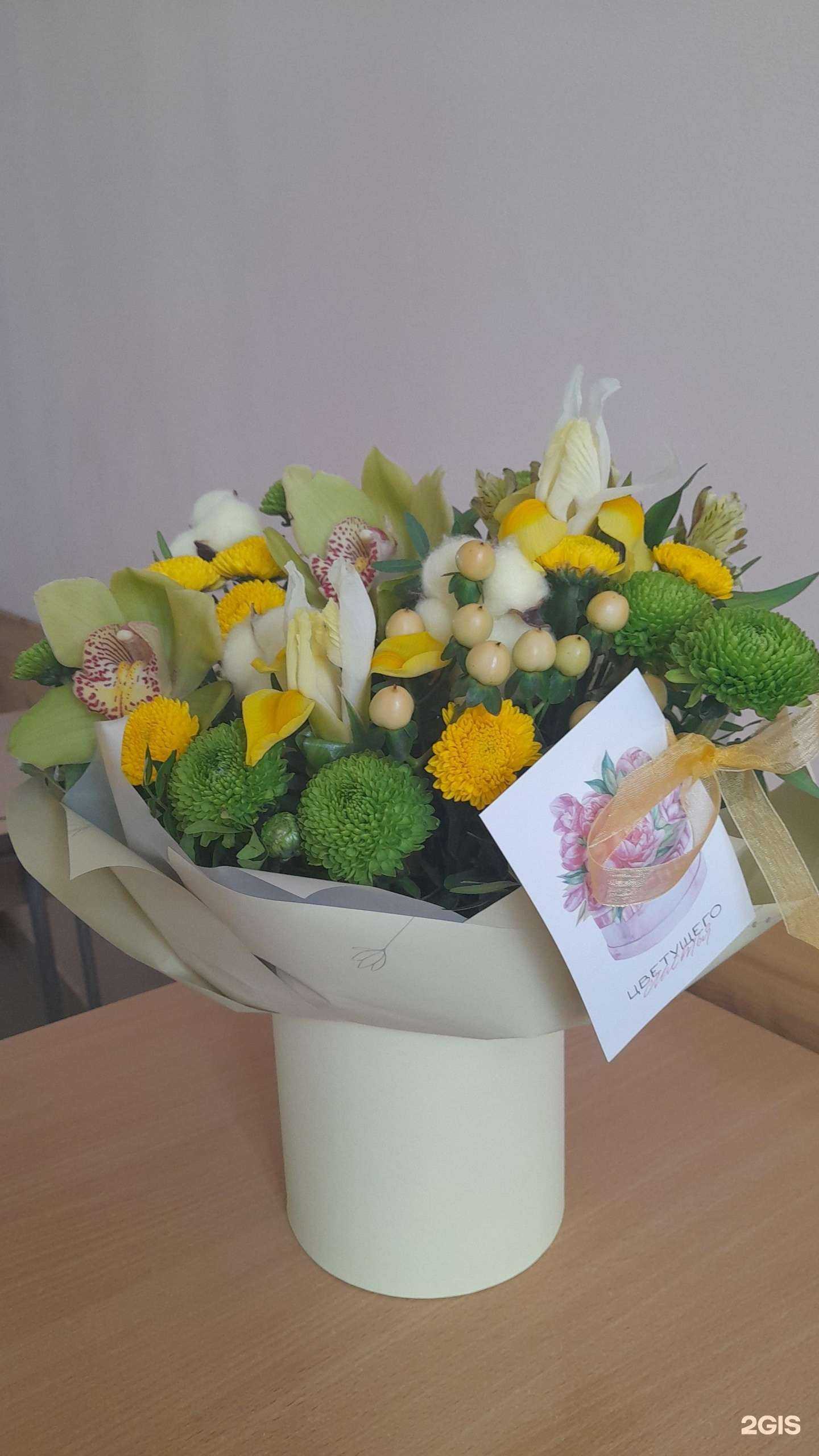 Отзывы на компанию Ваш друг в Барнауле c фото