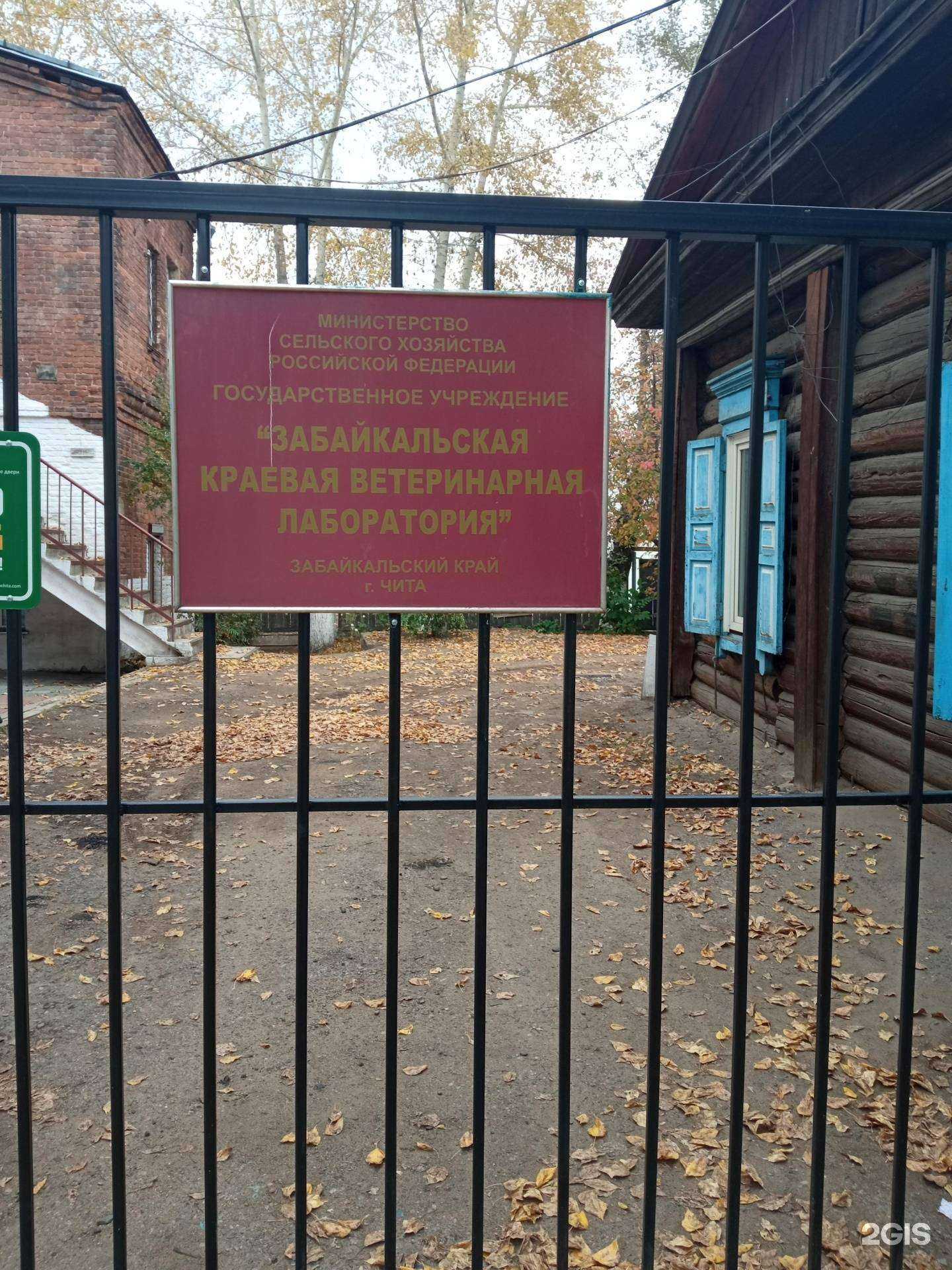 Отзывы на компанию Забайкальская краевая ветеринарная лаборатория в Чите c фото