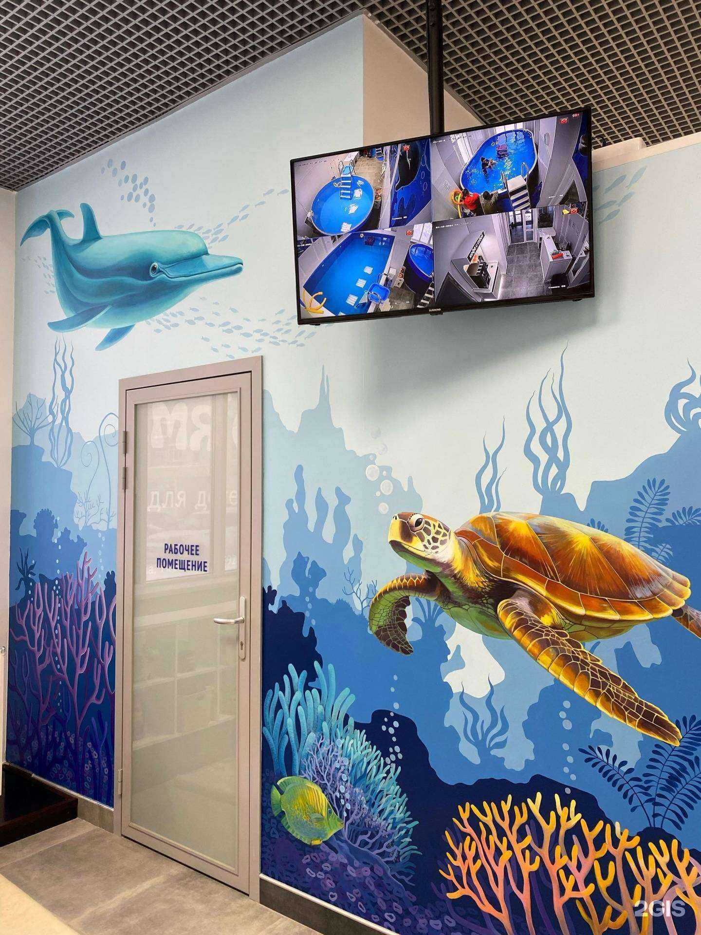 Отзывы на компанию Осьминожка в Тюмени c фото