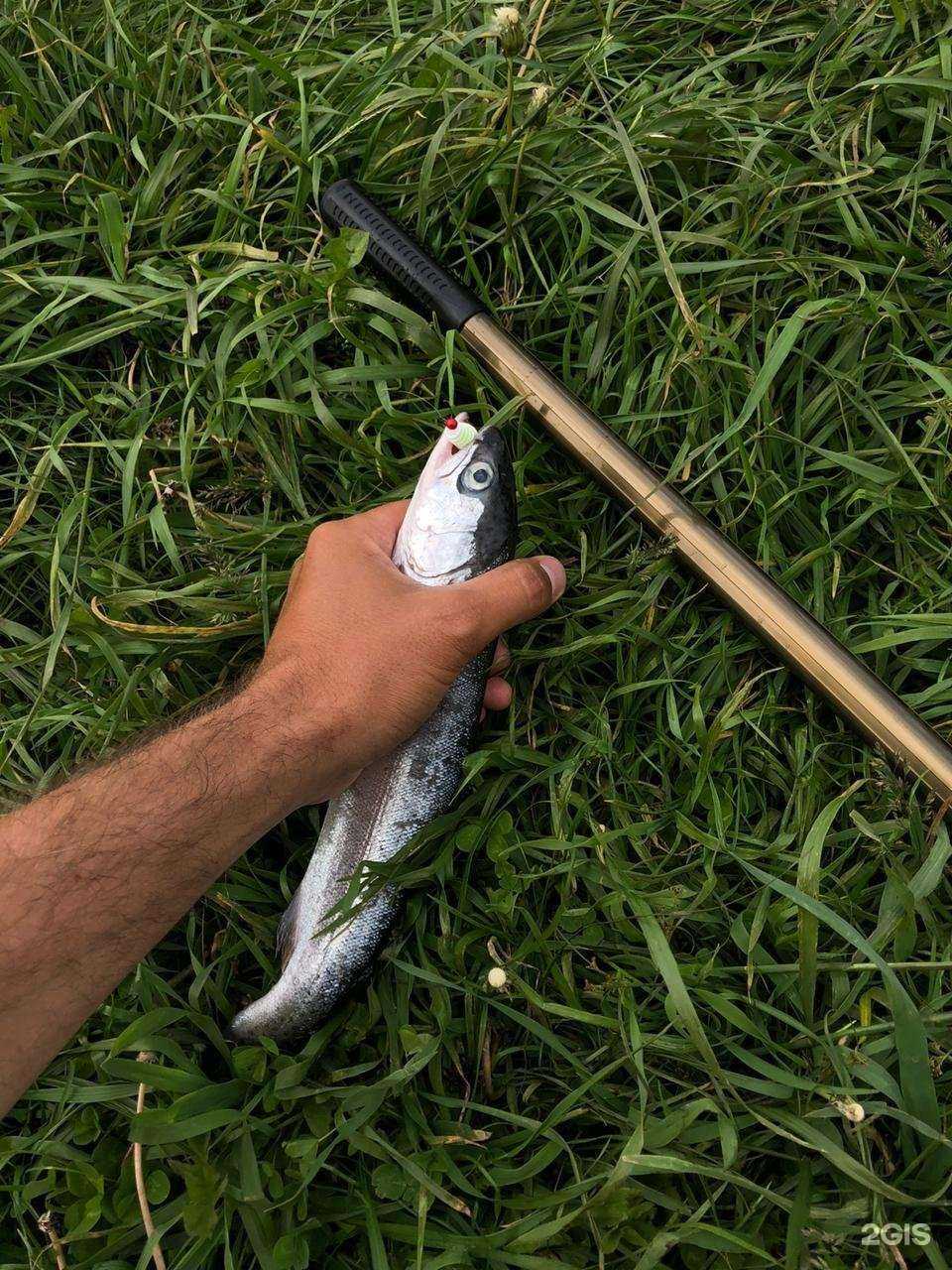 Отзывы на компанию Белуга в г. Кемерово c фото