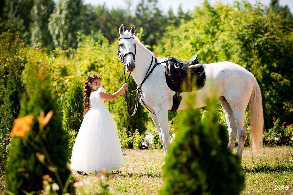 Отзывы на компанию Престиж в Казани c фото