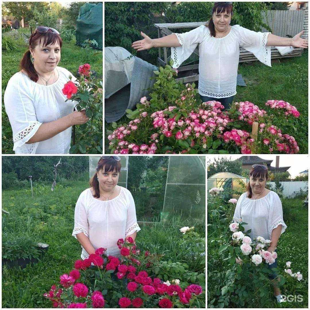 Отзывы на компанию Сияние в Брянске c фото