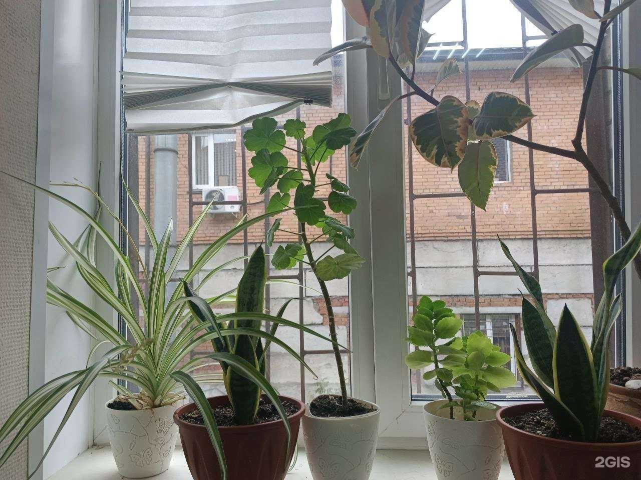 Отзывы на компанию Независимые исследования и судебная экспертиза в г. Балашиха c фото