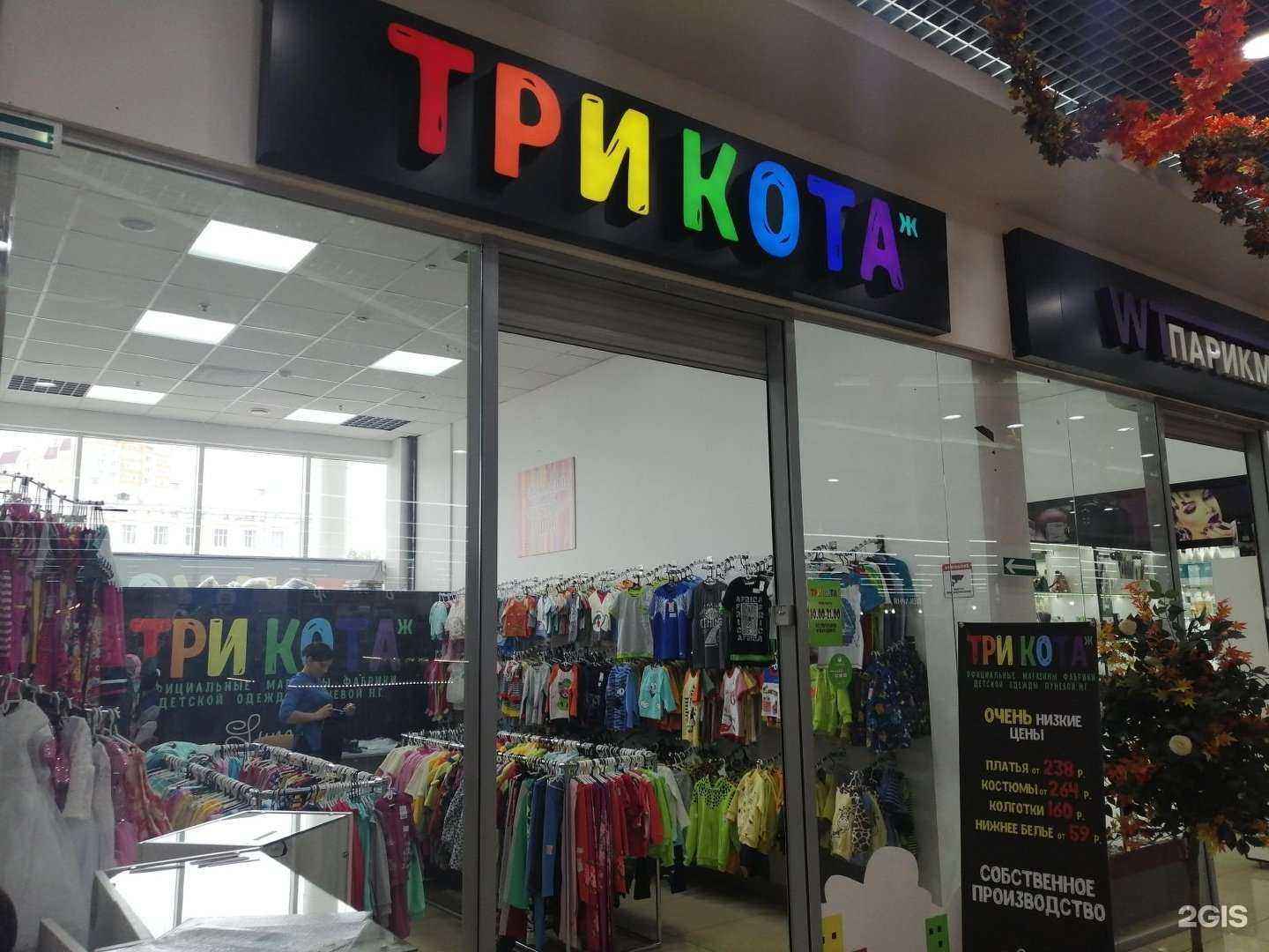 Отзывы на компанию Три Кота-ж в Орле c фото