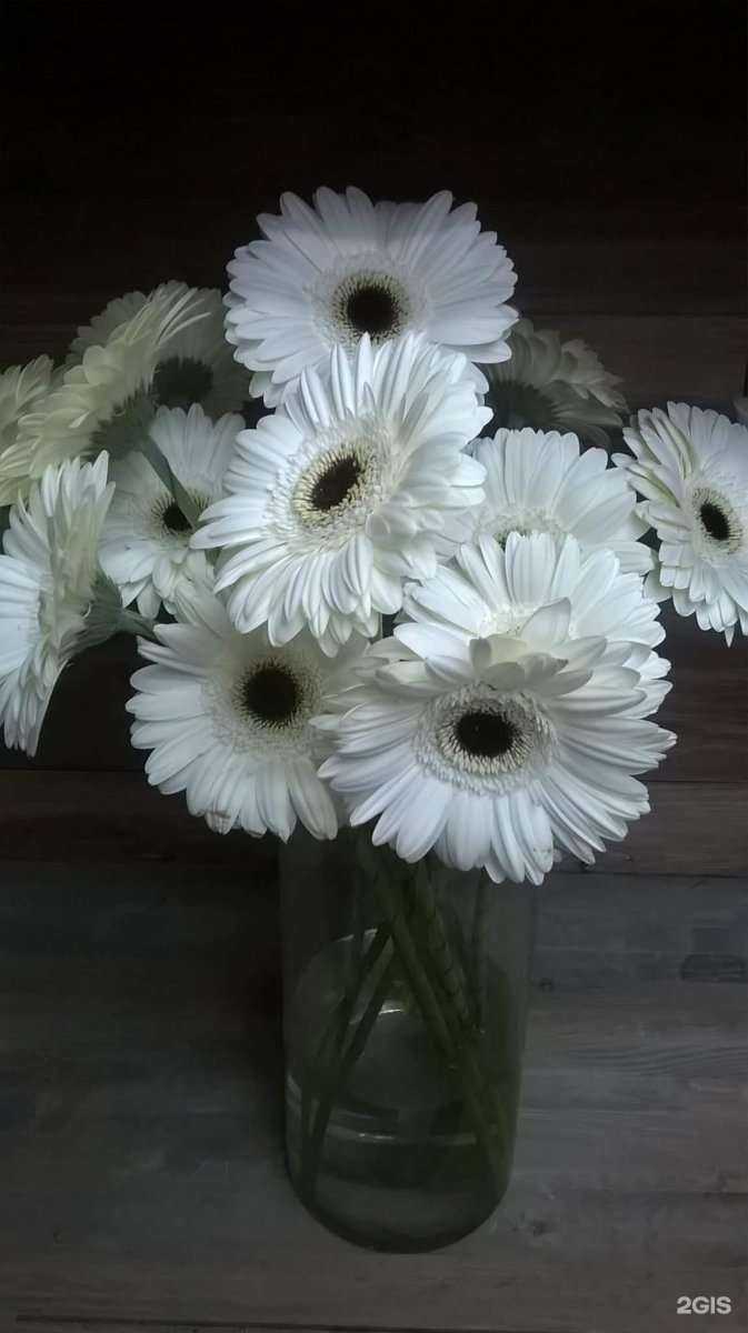 Отзывы на компанию Цветочный салон в г. Подольск c фото