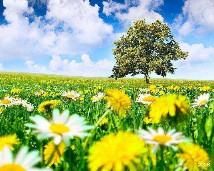 Отзывы на компанию Language assistant в г. Самара c фото