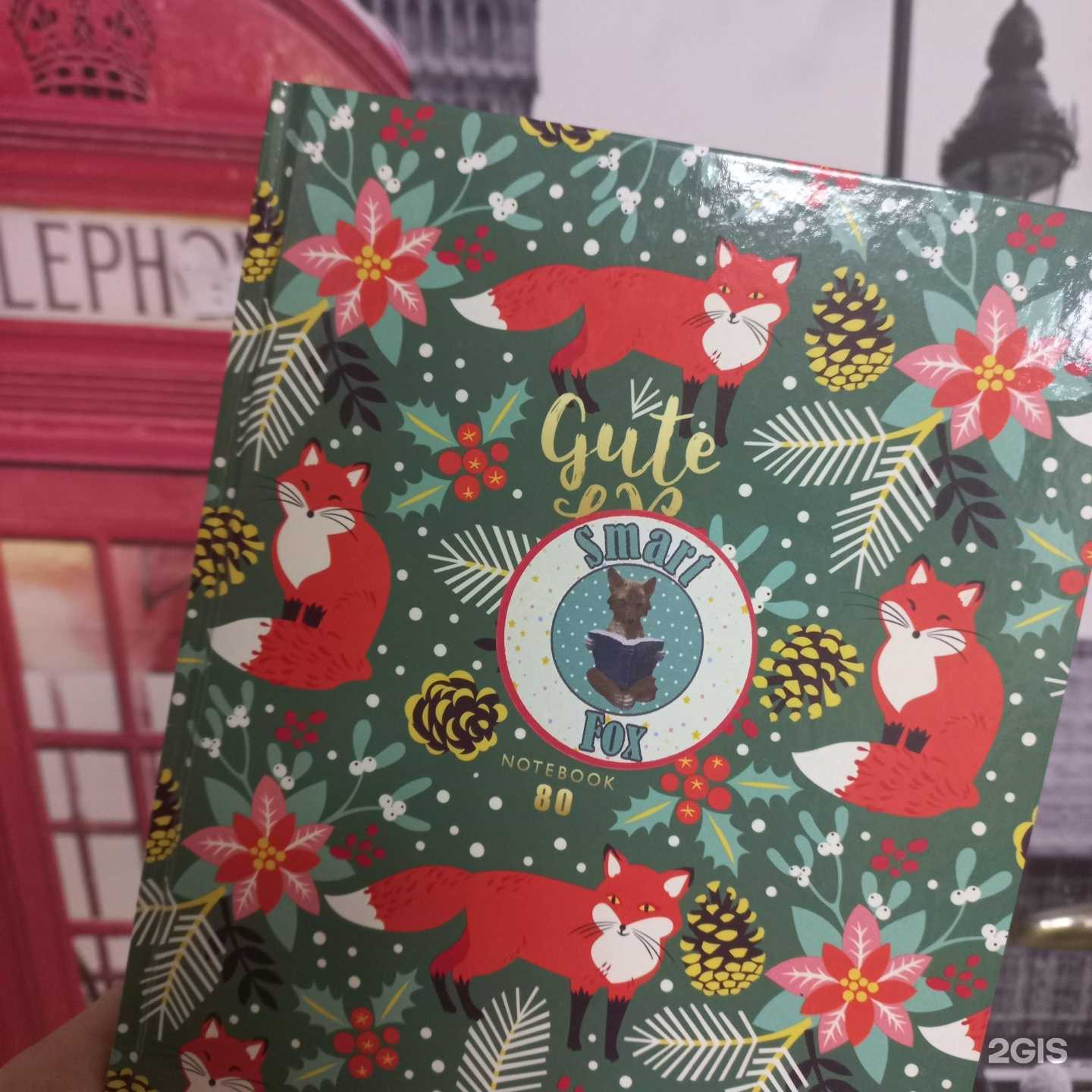 Отзывы на компанию Smart Fox Club в г. Краснодар c фото