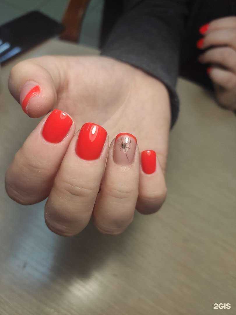 Отзывы на компанию Safi в г. Кострома c фото