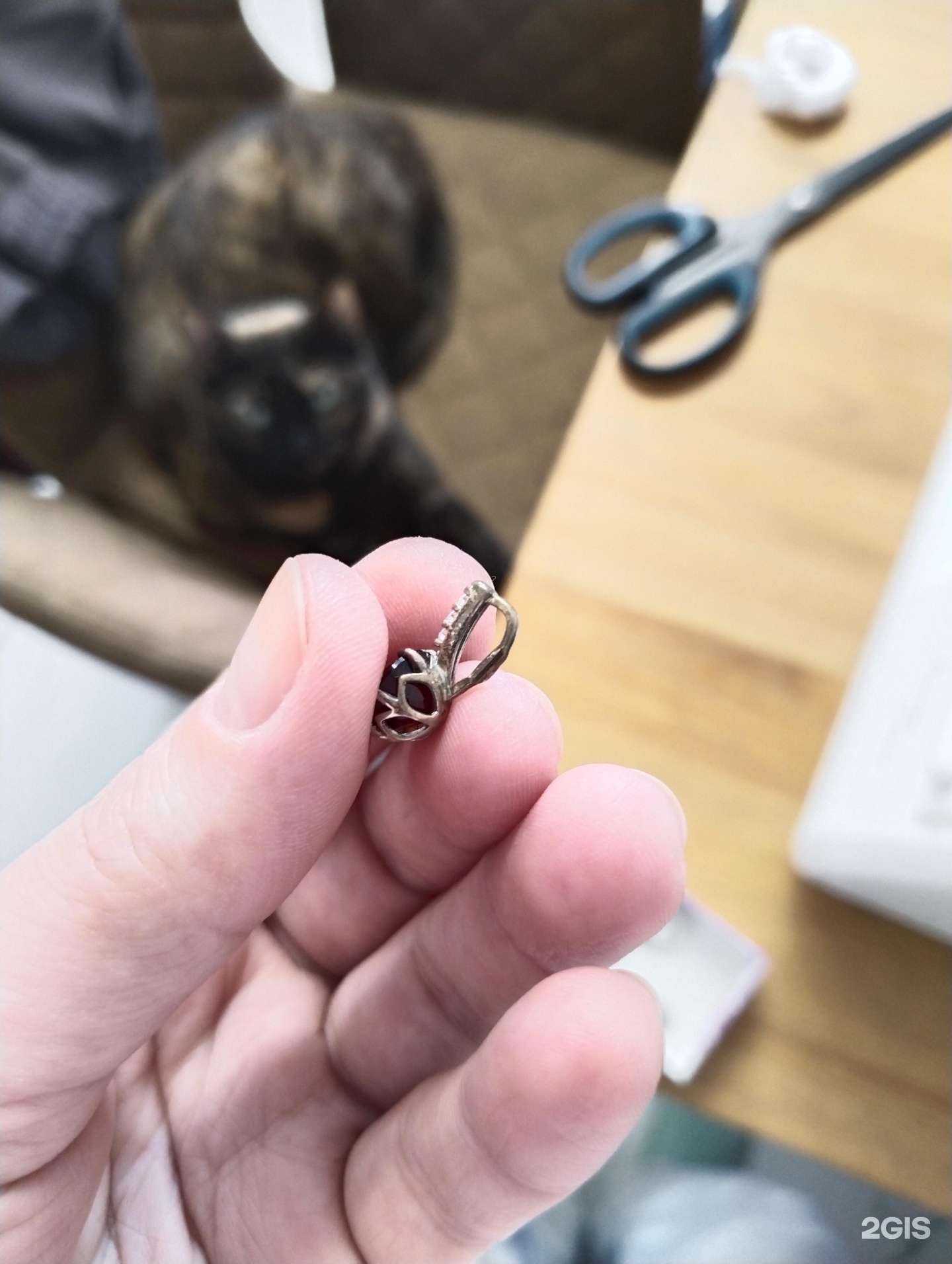 Отзывы на компанию SOKOLOV в г. Красноярск c фото