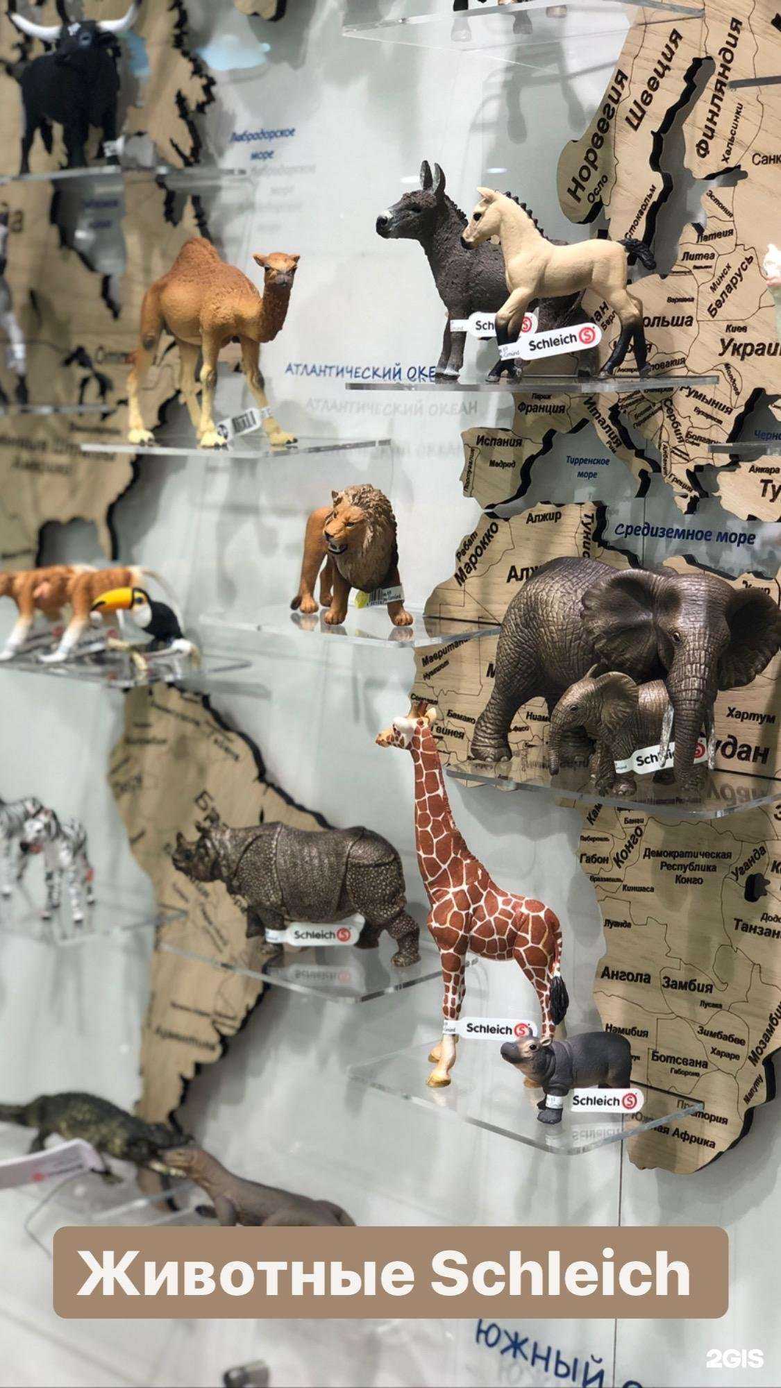 Отзывы на компанию Симба в Иркутске c фото