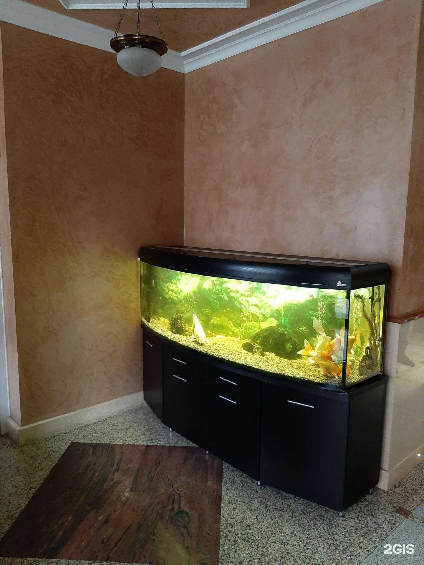 Отзывы на компанию Декорвилл в Калининграде c фото