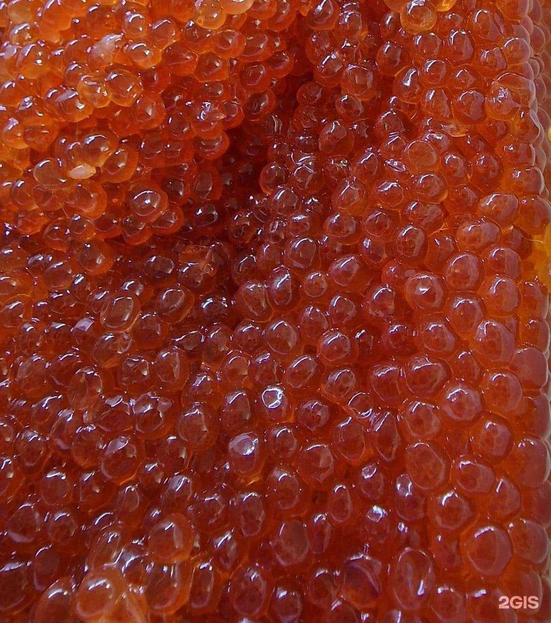 Отзывы на компанию Магазин морепродуктов в Геленджике c фото