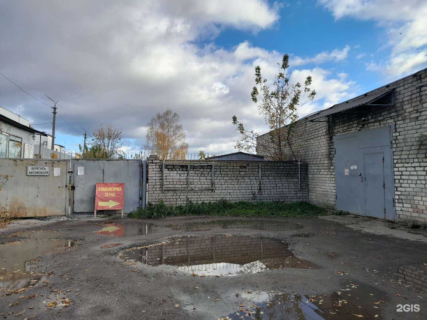 Отзывы на компанию Магазин кормов для животных в Пскове c фото