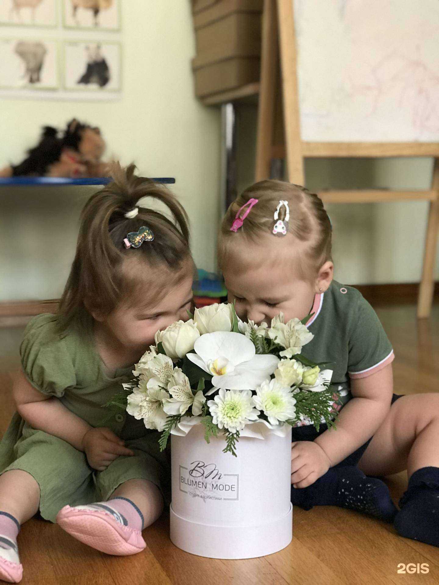 Отзывы на компанию Домовёнок в г. Новосибирск c фото