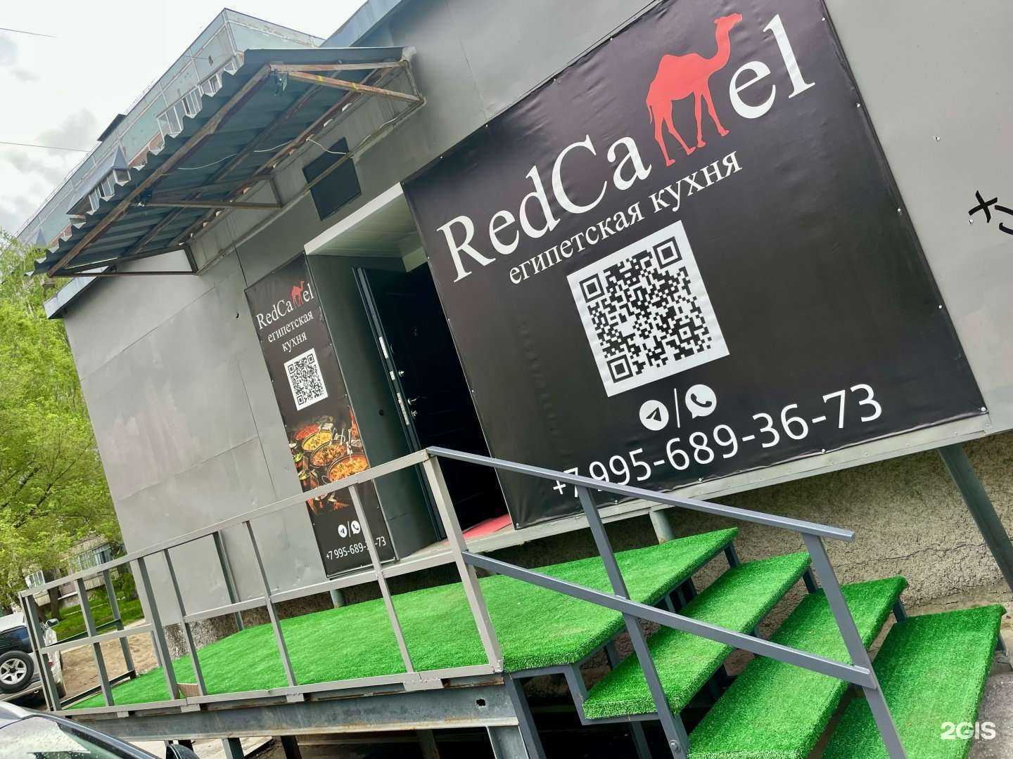 Отзывы на компанию Red camel в Новосибирске c фото