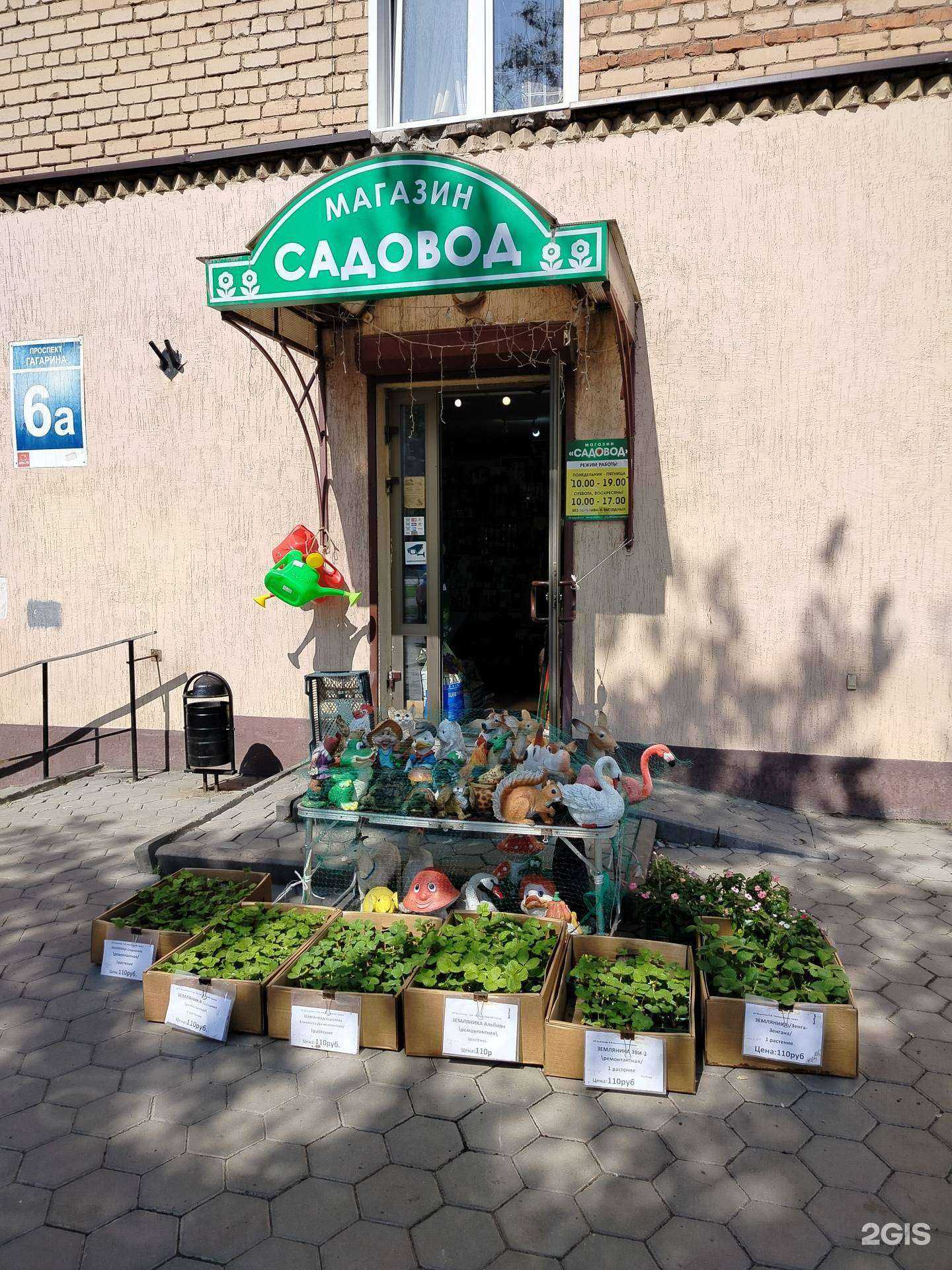 Отзывы на компанию Садовод в Оренбурге c фото