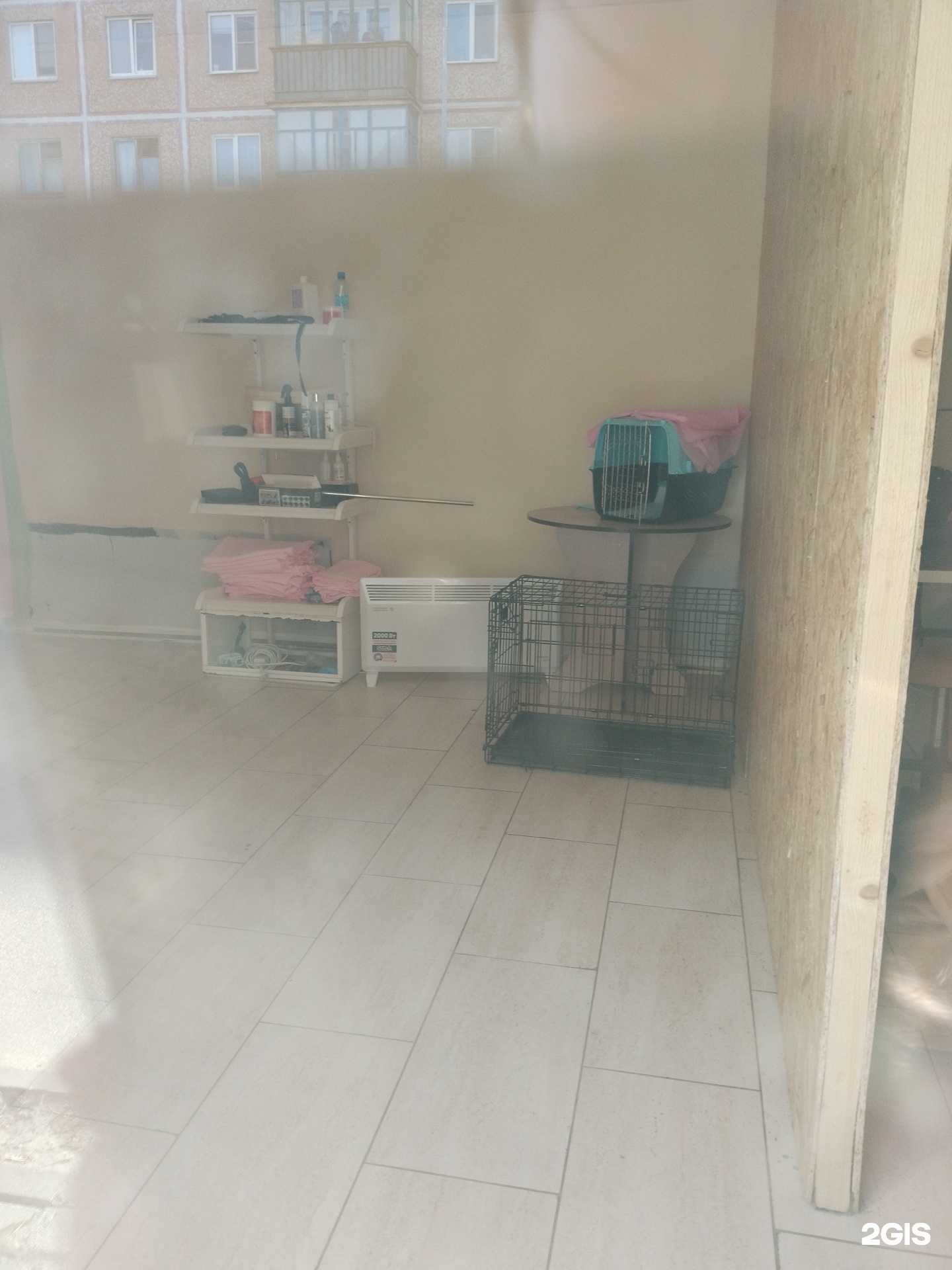 Отзывы на компанию Груминг-центр в Пскове c фото