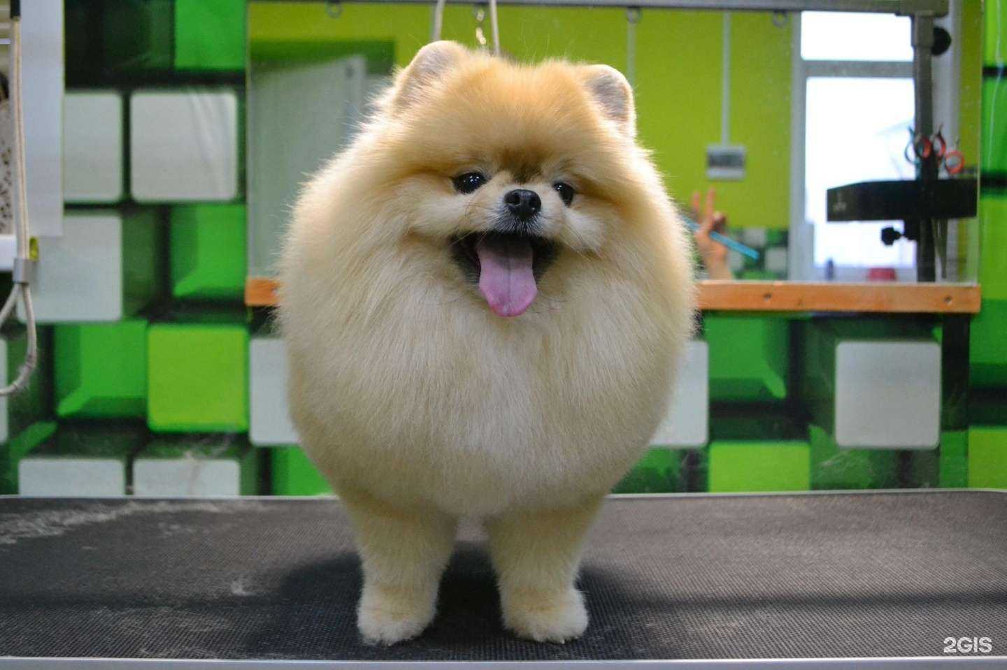 Отзывы на компанию Добрый дом в г. Тверь c фото