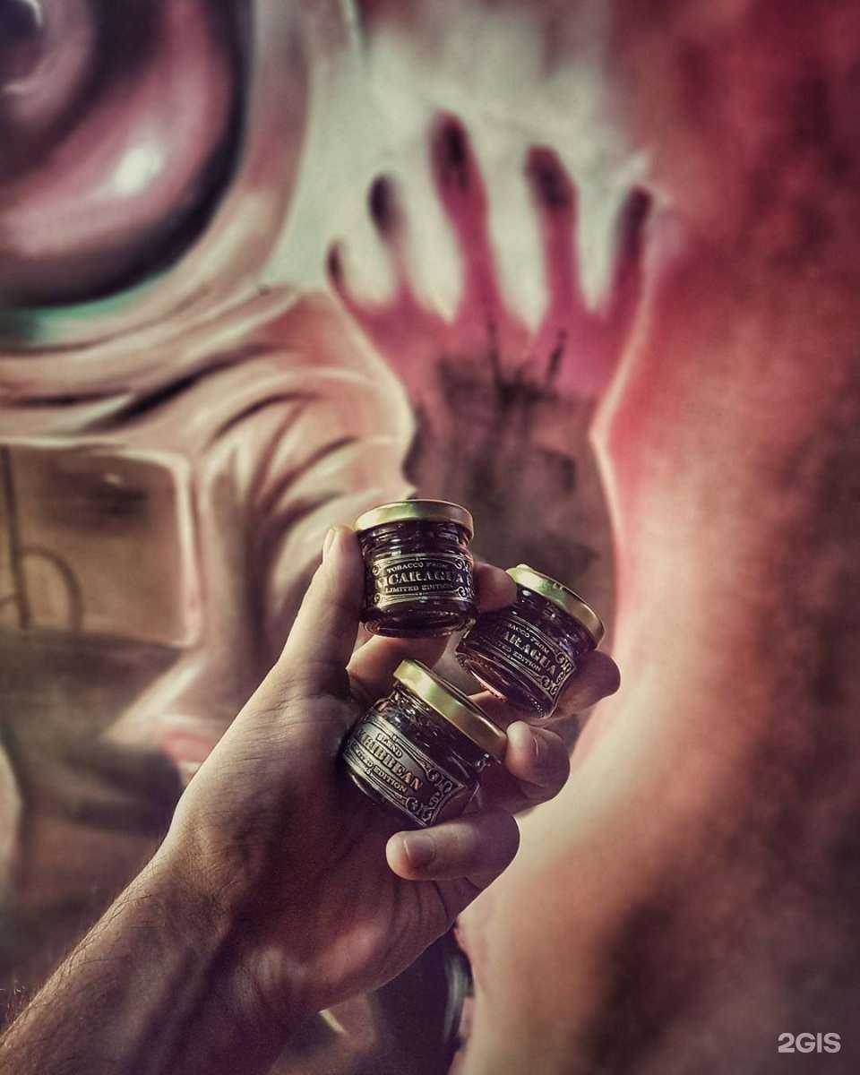 Отзывы на компанию The Kurils в г. Артём c фото