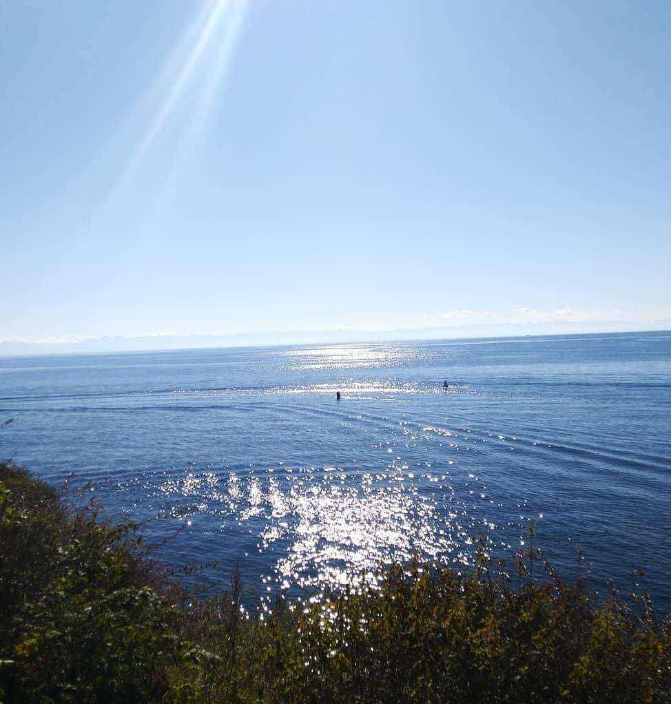 Отзывы на компанию 360 градусов в г. Иркутск c фото