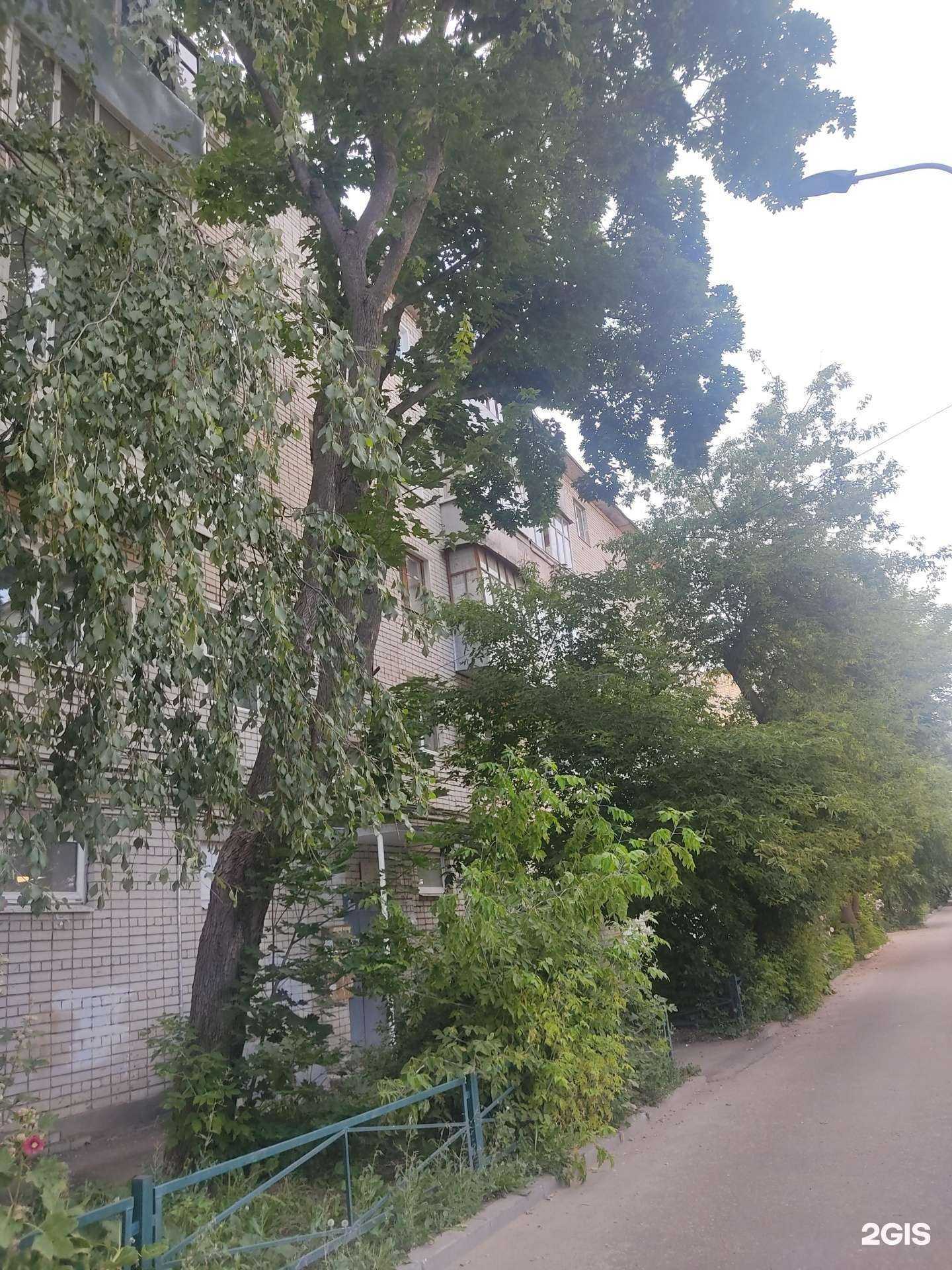 Отзывы на компанию Самородок в Арзамасе c фото - фотография 2 из 2