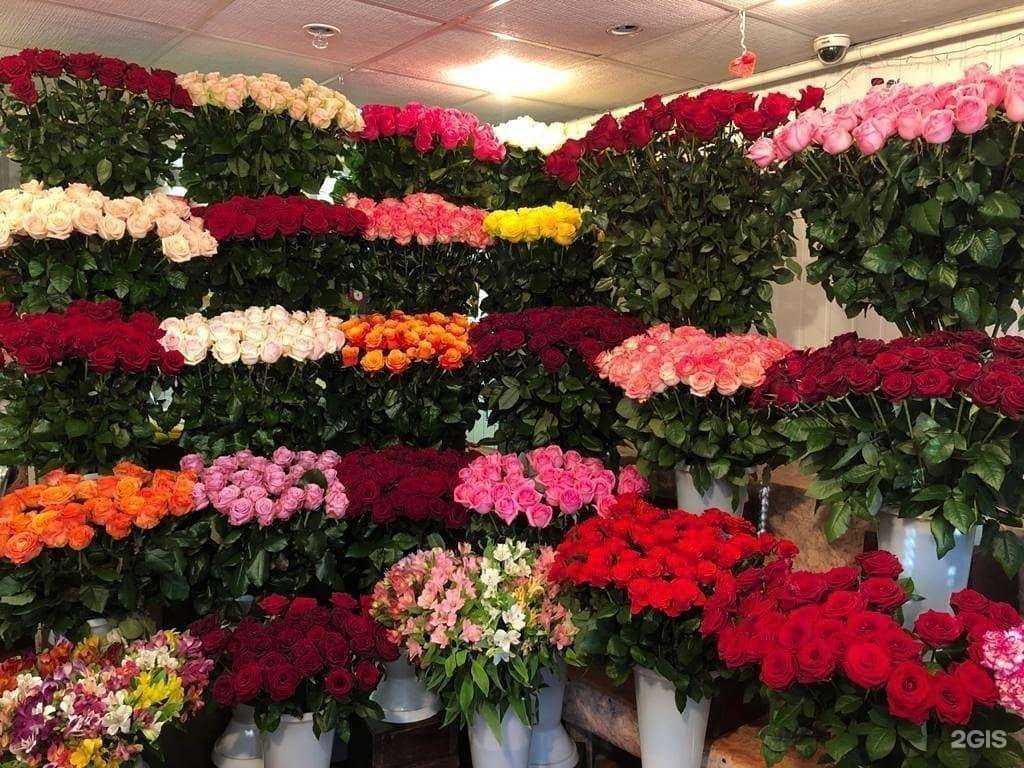 Отзывы на компанию Светлана в Ставрополе c фото