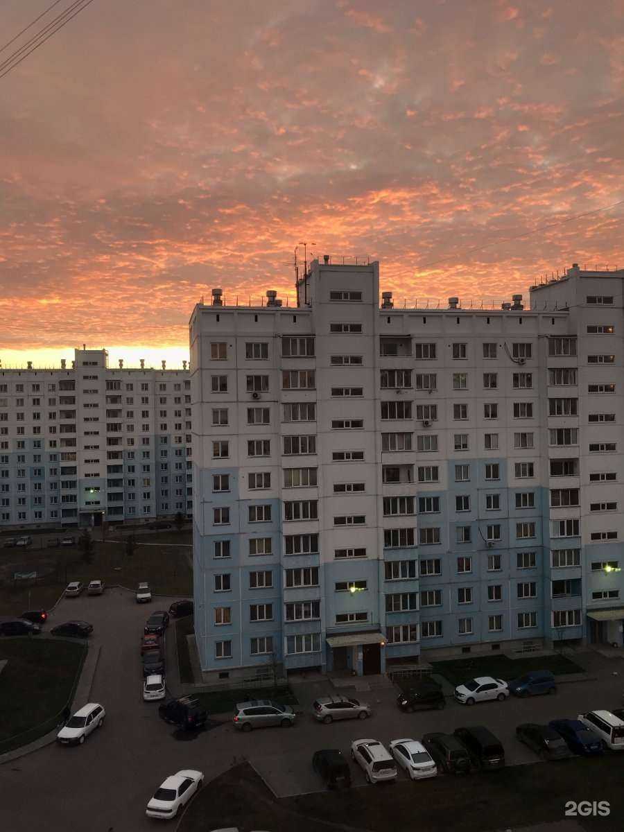 Отзывы на компанию Hintex в Новосибирске c фото