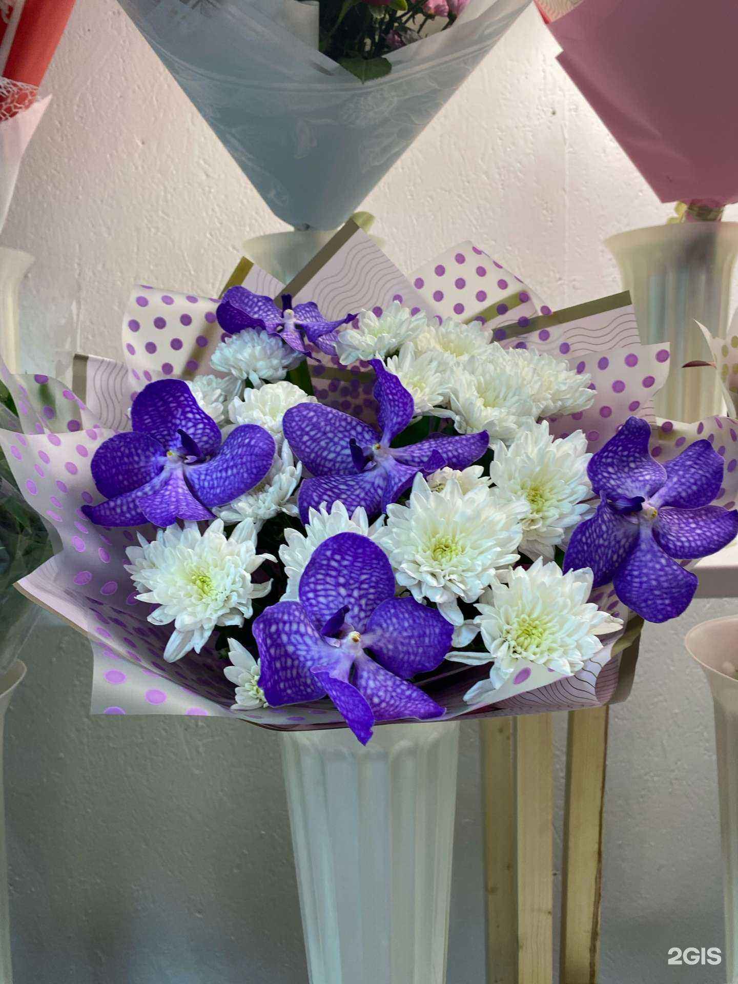 Отзывы на компанию Маргаритка в Самаре c фото