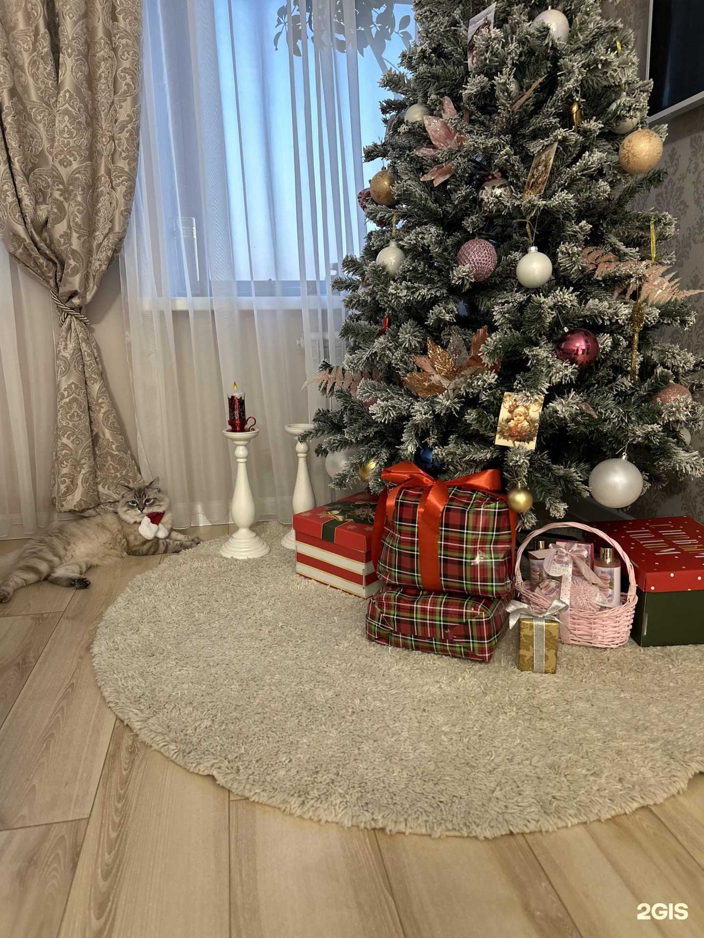 Отзывы на компанию Лэтуаль в г. Новосибирск c фото