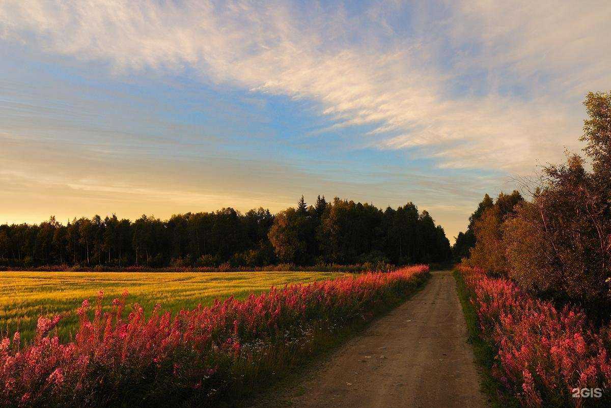 Отзывы на компанию Диас-эко в г. Новосибирск c фото